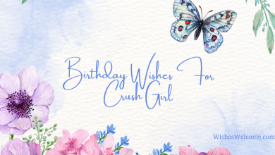 Birthday Wishes For Crush Girl