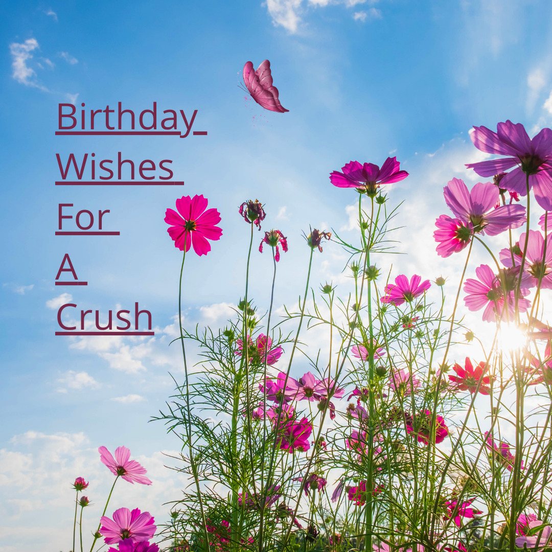 flirty birthday wishes for a crush